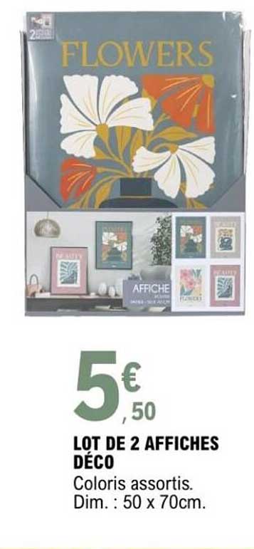 LOT DE 2 AFFICHES DÉCO