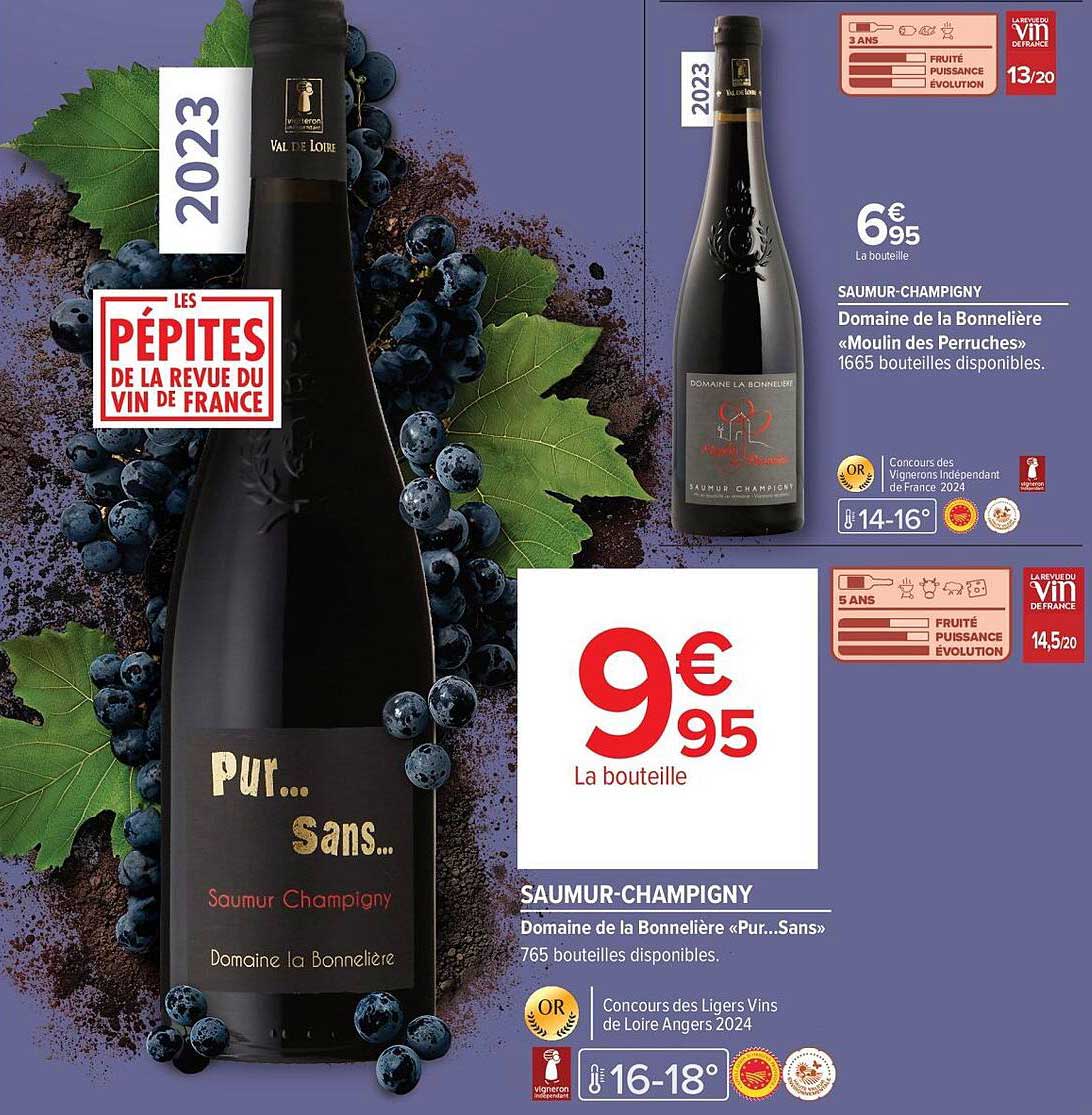 Pur... Sans... Saumur Champigny