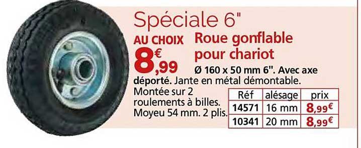 Roue gonflable pour chariot