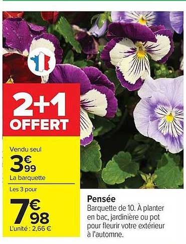 2+1 OFFERT
