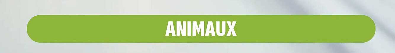 ANIMAUX