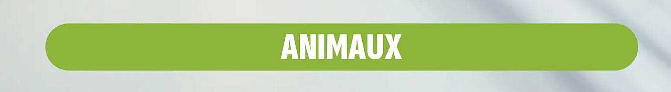 ANIMAUX