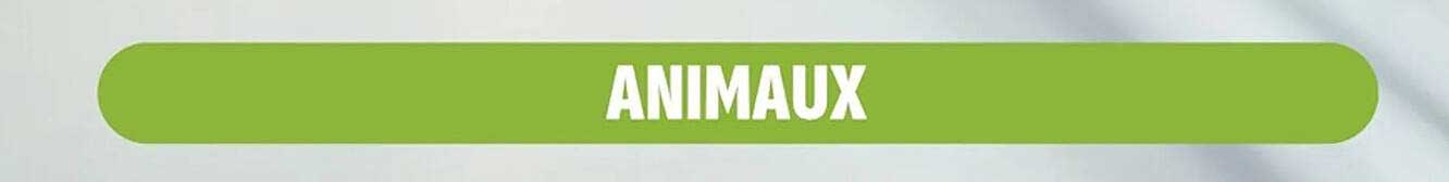 ANIMAUX