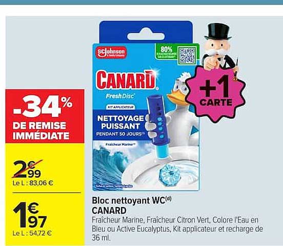 BLOC NETTOYANT WC CANARD