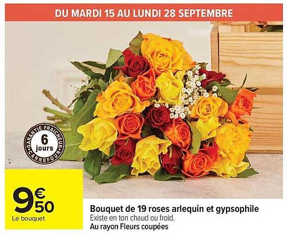 Bouquet de 19 roses arlequin et gypsophile