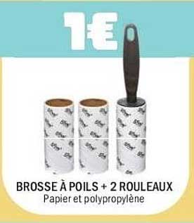 BROSSE À POILS + 2 ROULEAUX
