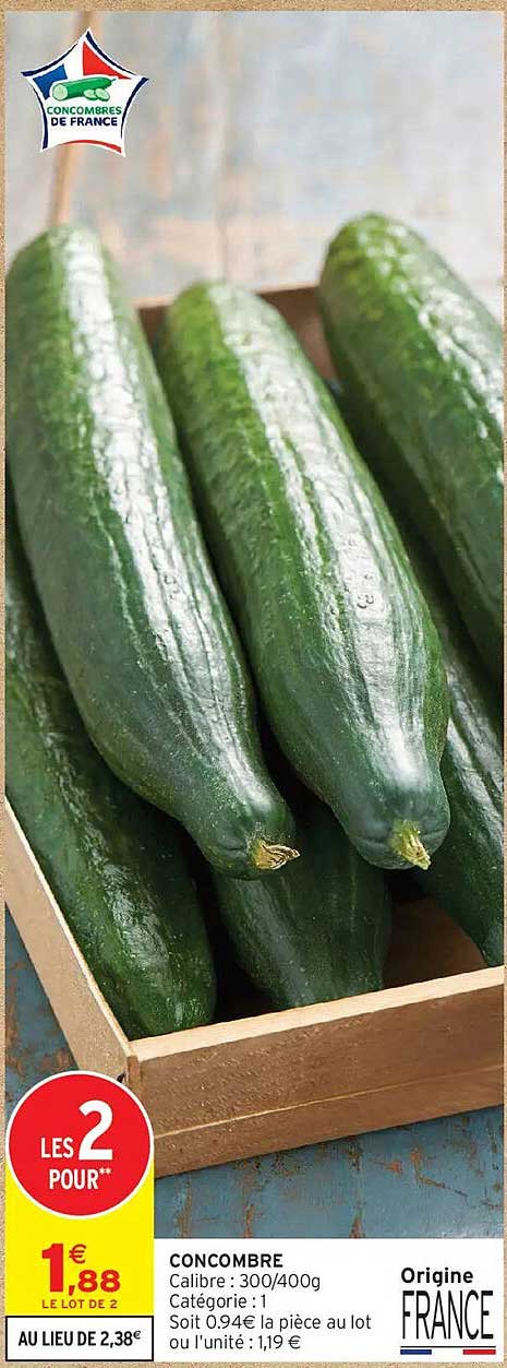 CONCOMBRE