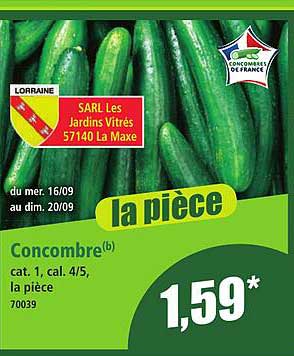 Concombre(b) cat. 1, cal. 4/5, la pièce