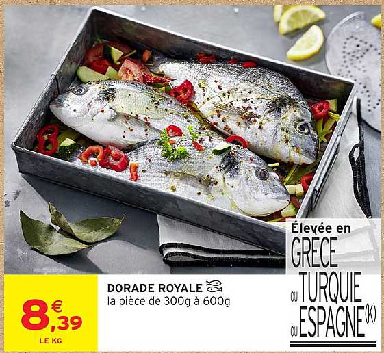 DORADE ROYALE