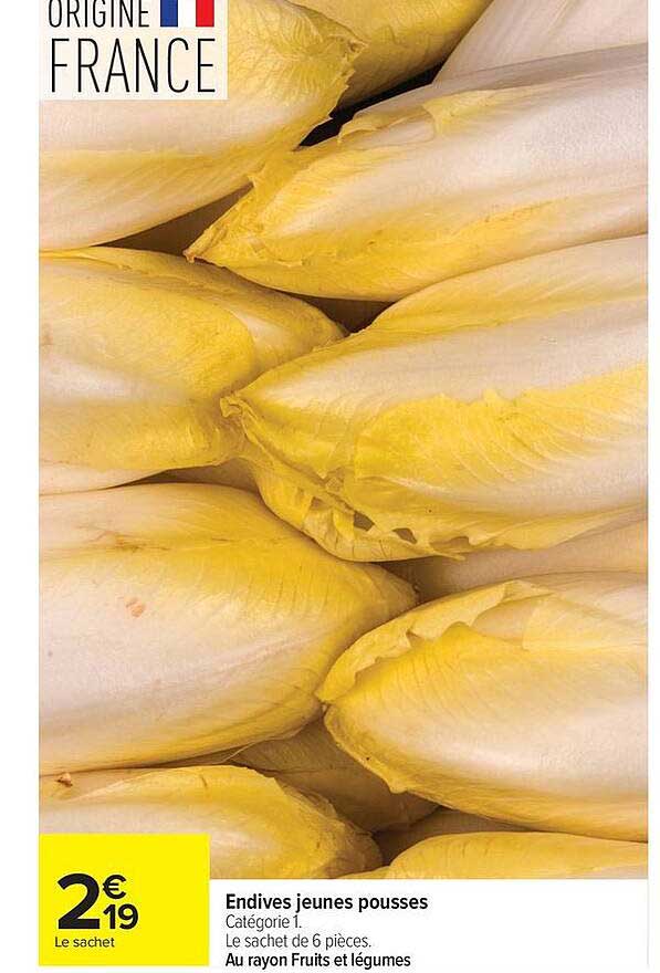 Endives jeunes pousses