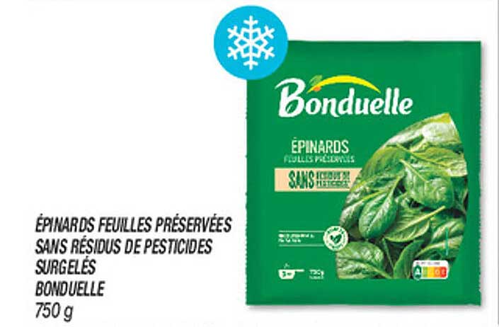 ÉPINARDS FEUILLES PRÉSERVÉES SANS RÉSIDUS DE PESTICIDES SURGELÉS BONDUELLE 750 g