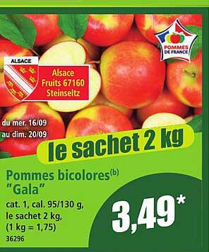 Le sachet 2 kg Pommes bicolores “Gala”