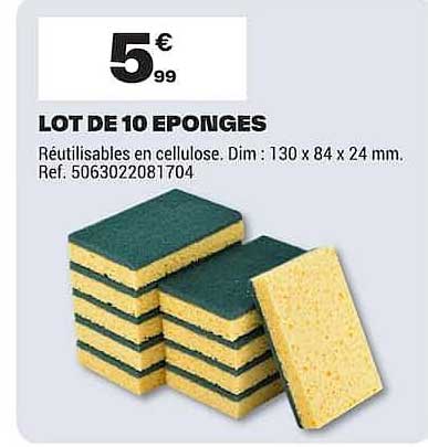 LOT DE 10 EPONGES