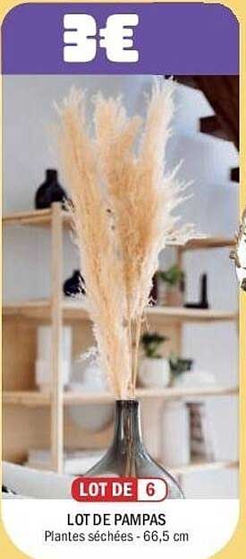 LOT DE PAMPAS