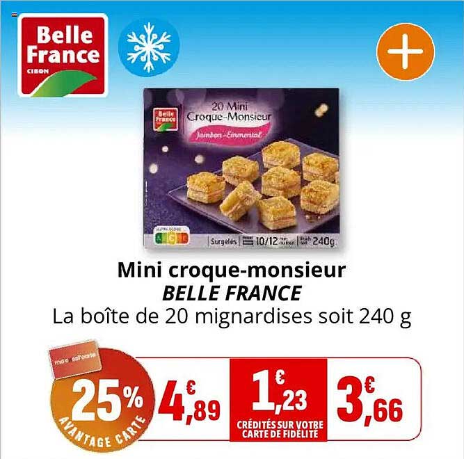 Mini croque-monsieur BELLE FRANCE La boîte de 20 mignardises soit 240 g
