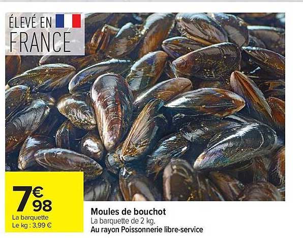 Moules de bouchot