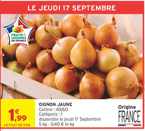 OIGNON JAUNE