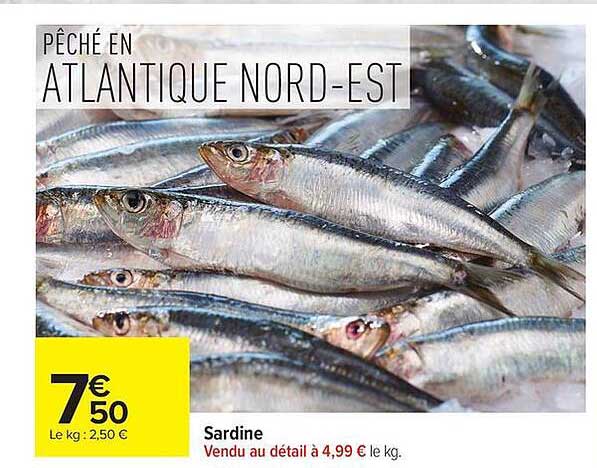 PÊCHE EN ATLANTIQUE NORD-EST