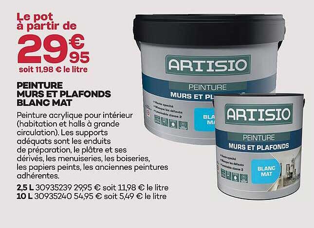 PEINTURE MURS ET PLAFONDS BLANC MAT