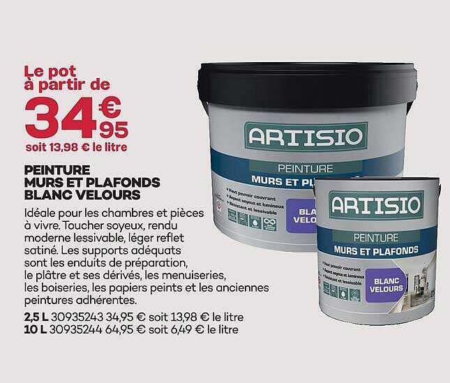 PEINTURE MURS ET PLAFONDS BLANC VELOURS