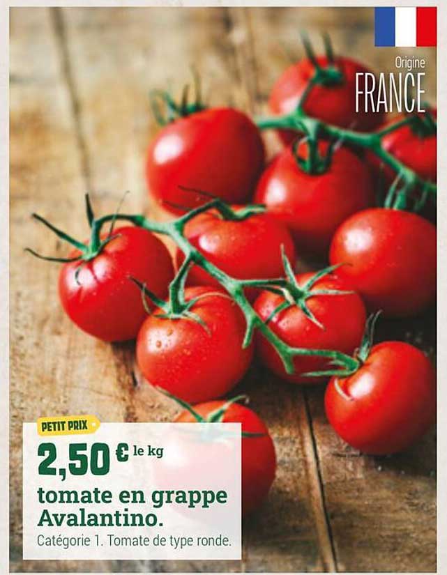 PETIT PRIX 2,50 € le kg tomate en grappe Avalantino. Catégorie 1. Tomate de type ronde.
