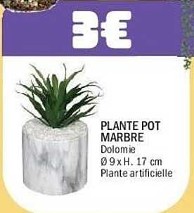 PLANTE POT MARBRE