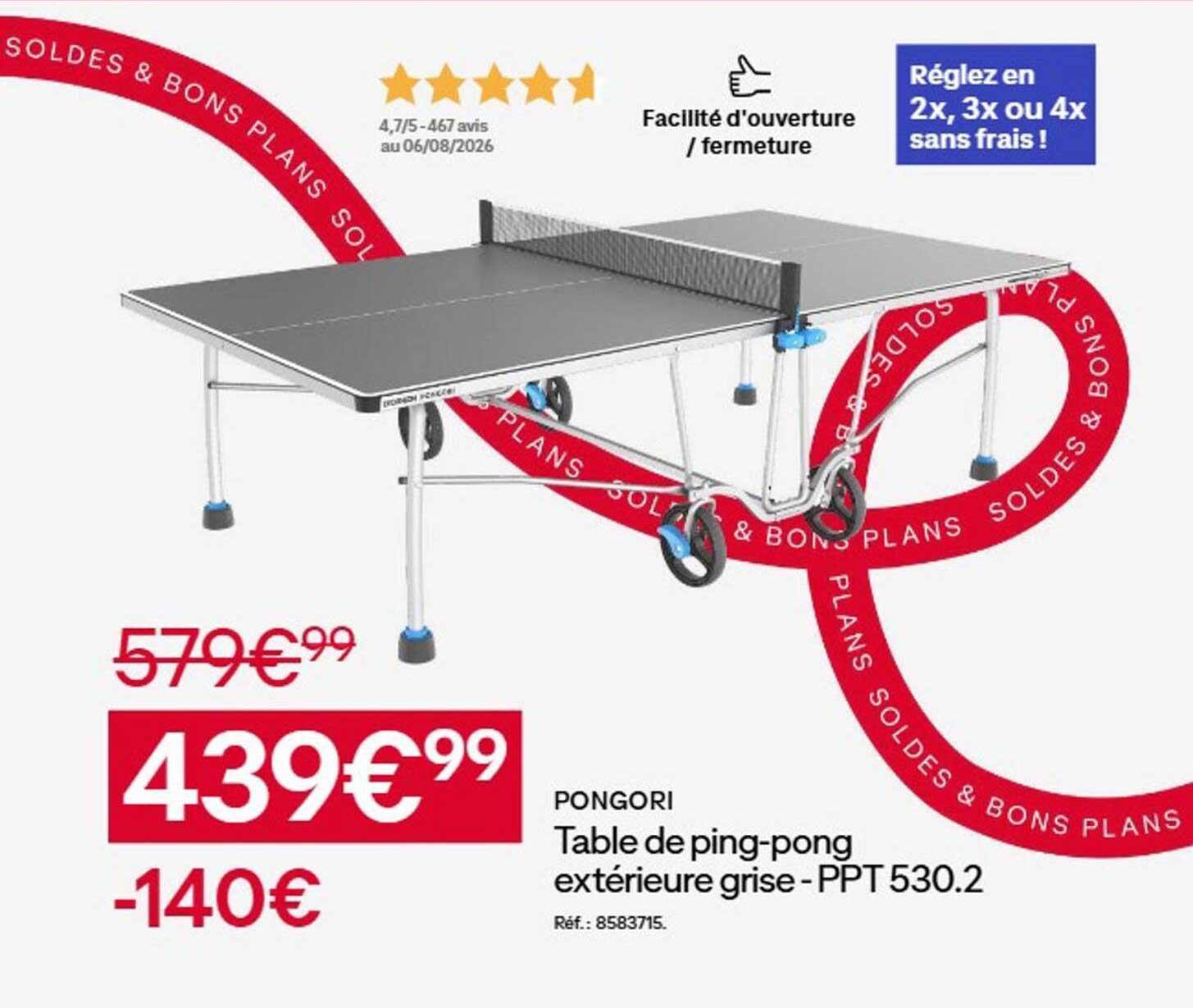 PONGORI Table de ping-pong extérieure grise - PPT 530.2