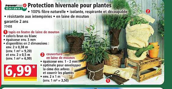 Protection hivernale pour plantes