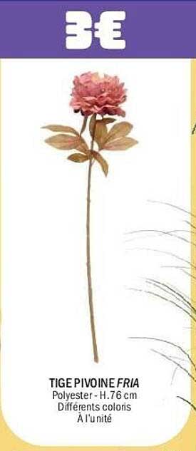 TIGE PIVOINE FRIA