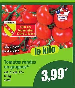 Tomates rondes en grappes