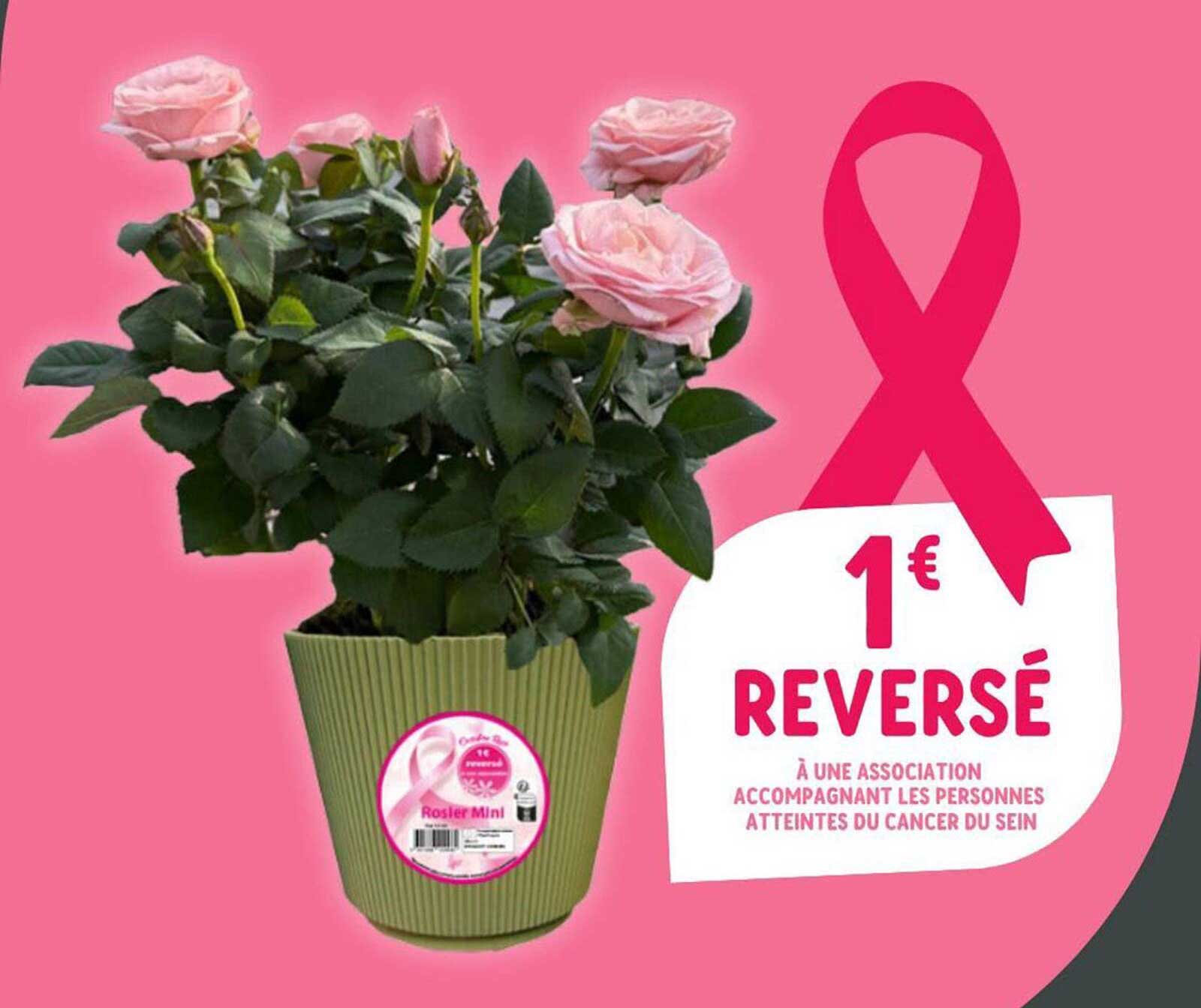 1€ REVERSÉ