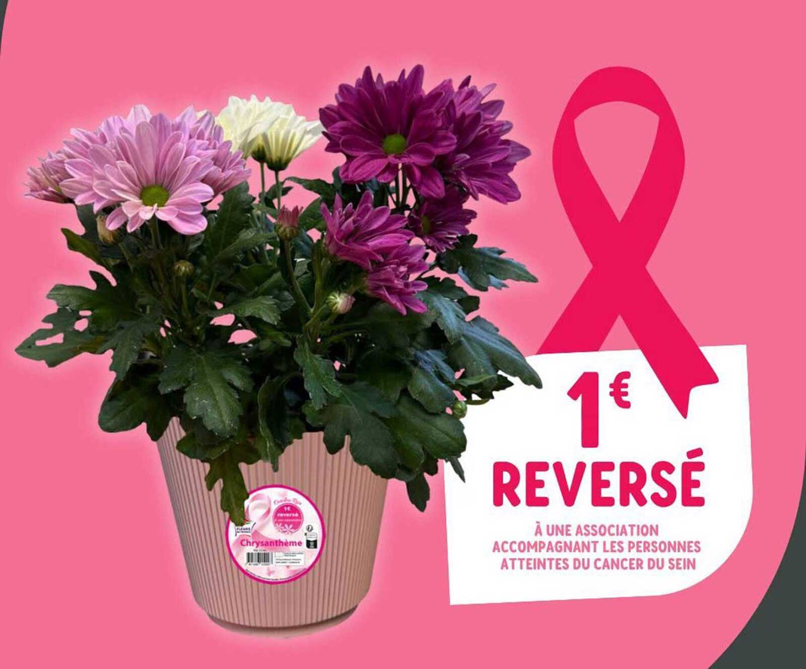 1€ reversé à une association accompagnant les personnes atteintes du cancer du sein