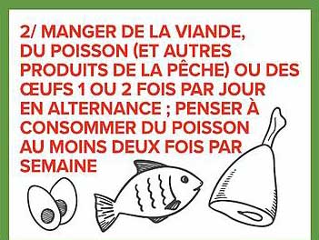 2/ MANGER DE LA VIANDE, DU POISSON (ET AUTRES PRODUITS DE LA PÊCHE) OU DES OEUFS 1 OU 2 FOIS PAR JOUR EN ALTERNANCE ; PENSER À CONSOMMER DU POISSON AU MOINS DEUX FOIS PAR SEMAINE