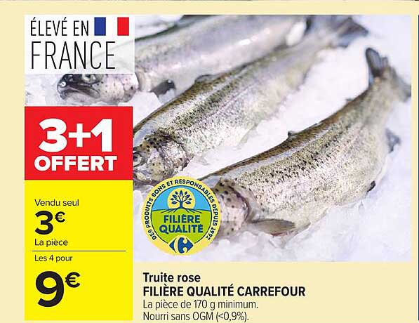 3+1 OFFERT