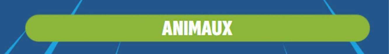 ANIMAUX