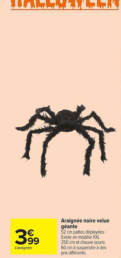 Araignée noire velue géante