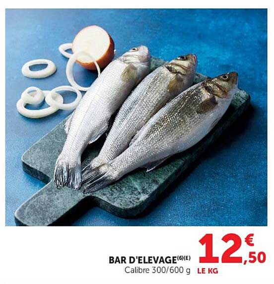 BAR D'ELEVAGE (6€) - Calibre 300/600 g