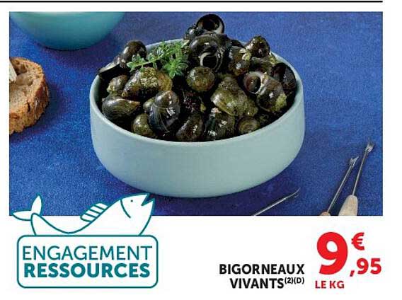 BIGORNEAUX VIVANTS(2)(D)