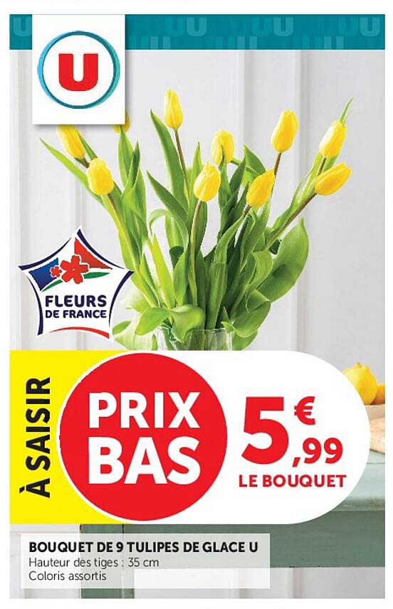 BOUQUET DE 9 TULIPES DE GLACE U