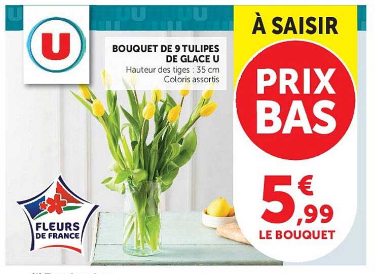 BOUQUET DE 9 TULIPES DE GLACE U
