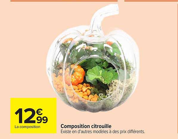 Composition citrouille