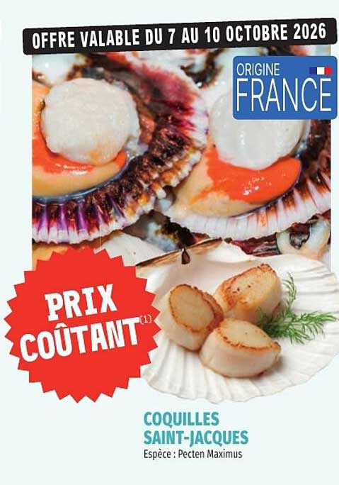 COQUILLES SAINT-JACQUES