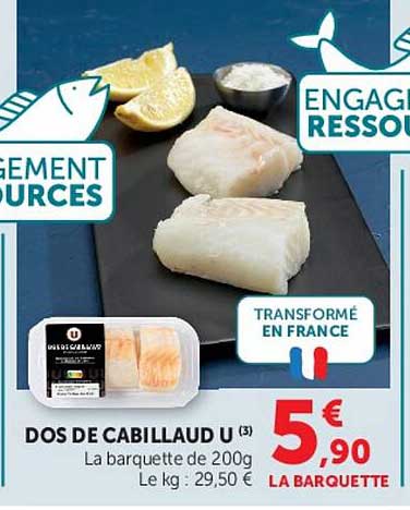 DOS DE CABILLAUD U (3)