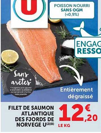 FILET DE SAUMON ATLANTIQUE DES FJORDS DE NORVEGE U(2)B