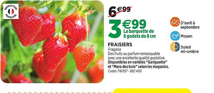 FRAISIERS