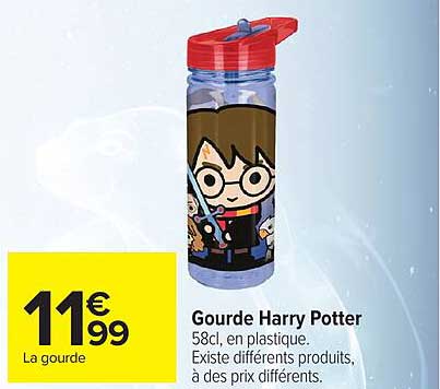 Gourde Harry Potter