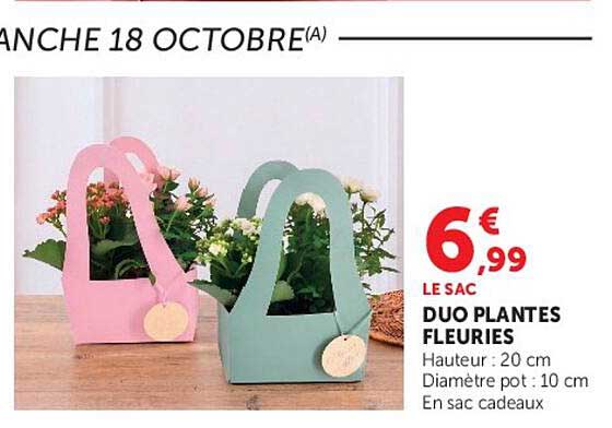 LE SAC DUO PLANTES FLEURIES