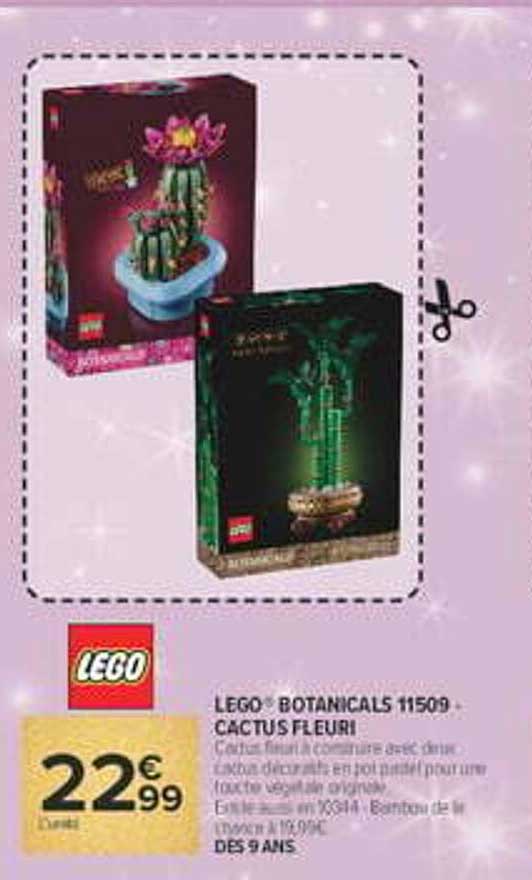 LEGO® BOTANICALS 11509 - CACTUS FLEURI