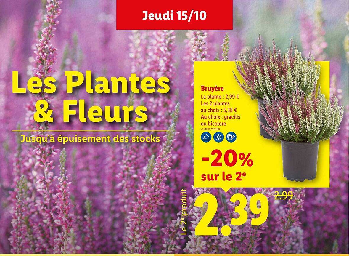 Les Plantes & Fleurs