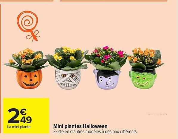 Mini plantes Halloween
